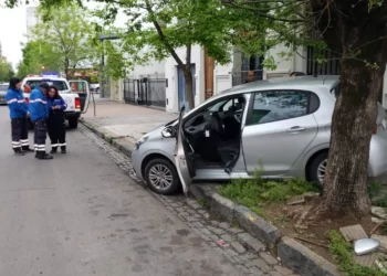 PERDIÓ EL CONTROL DE SU AUTO Y TERMINÓ SOBRE LA VEREDA