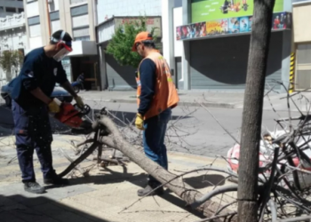 MÁS DE 25 LLAMADOS A EMERGENCIAS POR EL TEMPORAL
