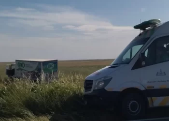 UN CAMIONERO SE DESPISTÓ Y CHOCÓ CONTRA UN ALAMBRADO EN LA RUTA 35