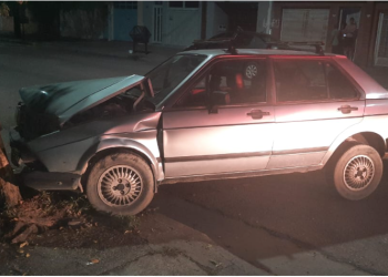 CHOCÓ CONTRA UN ÁRBOL Y ABANDONÓ SU AUTO
