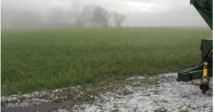 LA LLUVIA DIO UN RESPIRO AL CAMPO EN MEDIO DE LA SEQUÍA Y PERMITIRÁ AVANZAR CON LA SIEMBRA DE SOJA
