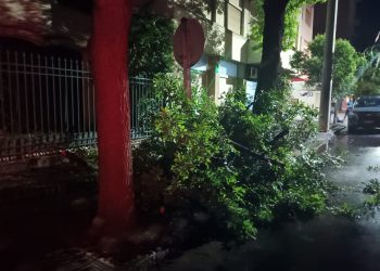 CAYÓ UNA RAMA DE GRAN PORTE Y OBSTRUYÓ EL PASO VEHICULAR