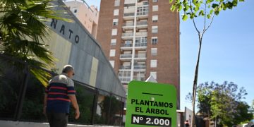 EL MUNICIPIO SUPERÓ LAS 2 MIL PLANTACIONES EN EL ARBOLADO URBANO