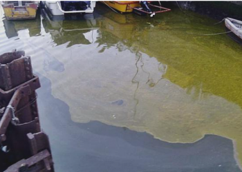 BEIER: «LA RÍA SIGUE CONTAMINADA COMO SIEMPRE O PEOR»