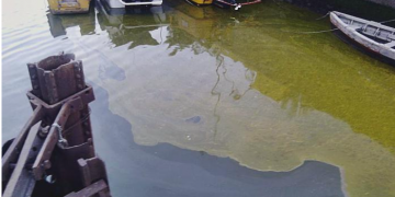 BEIER: «LA RÍA SIGUE CONTAMINADA COMO SIEMPRE O PEOR»