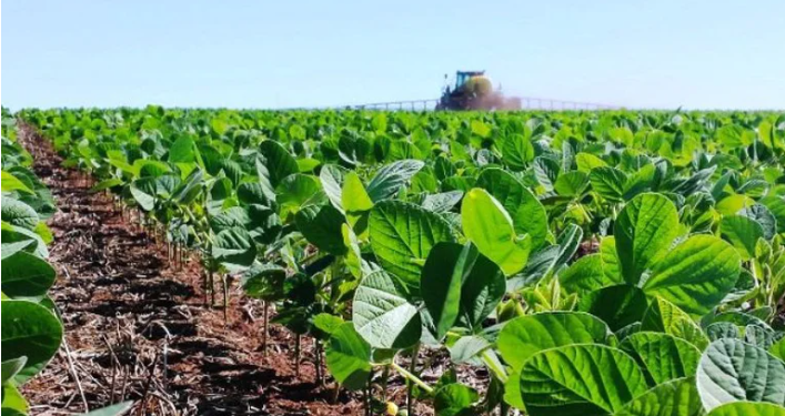 SEQUÍA E INCERTIDUMBRE EN EL CAMPO