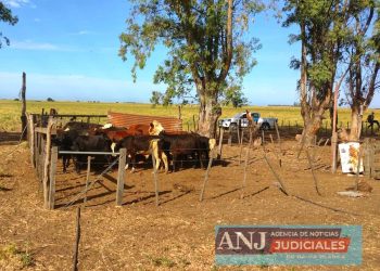 MÉDANOS: DETUVIERON A UN HOMBRE ACUSADO DE ABIGEATO AGRAVADO