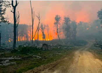 EL GOBIERNO CREÓ UNA UNIDAD DE PREVENCIÓN DE DELITOS AMBIENTALES