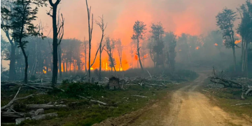 EL GOBIERNO CREÓ UNA UNIDAD DE PREVENCIÓN DE DELITOS AMBIENTALES
