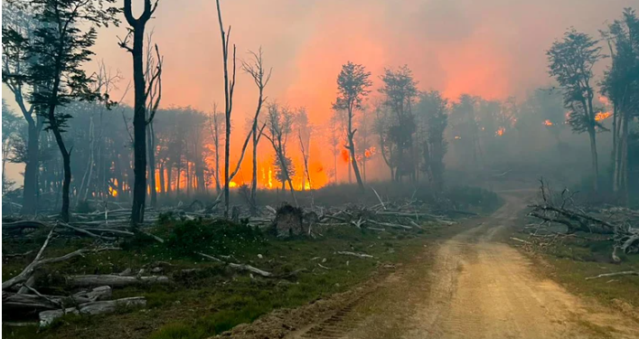EL GOBIERNO CREÓ UNA UNIDAD DE PREVENCIÓN DE DELITOS AMBIENTALES