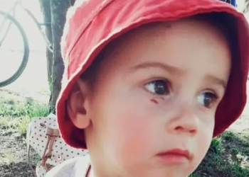 EL GOBIERNO INCLUYÓ EN EL TEMARIO DE SESIONES EXTRAORDINARIAS LA «LEY LUCIO»