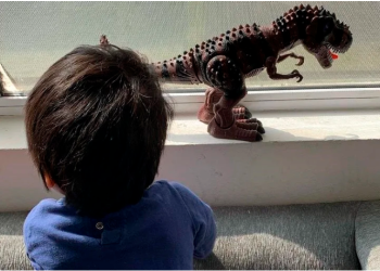 EL GOBIERNO OFICIALIZÓ UNA ASIGNACIÓN UNIVERSAL PARA NIÑOS QUE VIVEN EN RESIDENCIAS Y HOGARES