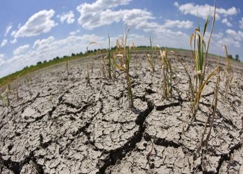LAS LLUVIAS, UNA BUENA SEÑAL PARA LAS ZONAS CON SEQUÍA