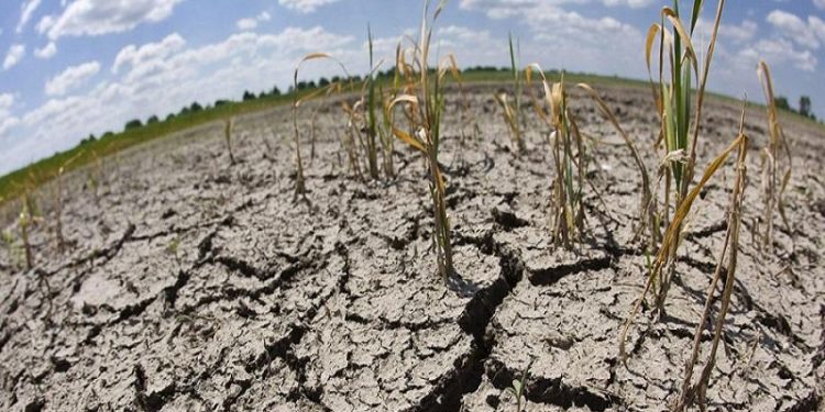 LAS LLUVIAS, UNA BUENA SEÑAL PARA LAS ZONAS CON SEQUÍA