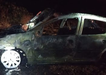 CHOCARON CONTRA UN CARPINCHO Y SE LES PRENDIÓ FUEGO EL AUTO