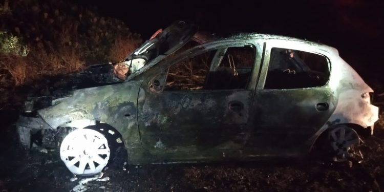 CHOCARON CONTRA UN CARPINCHO Y SE LES PRENDIÓ FUEGO EL AUTO