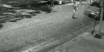 BUSCAN A LOS PROTAGONISTAS DE UNA BATALLA CAMPAL