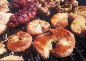 LOZANO: «HAY QUE SACAR DRAMATISMO, NO SE TRATA DE UN BROTE»