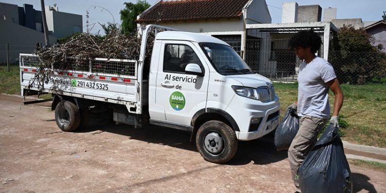 RECOLECCIÓN DE PEQUEÑAS PODAS Y RESTOS DE ALBAÑILERÍA