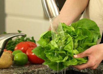 CÓMO PREVENIR EL SÍNDROME URÉMICO HEMOLÍTICO