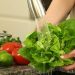 CÓMO PREVENIR EL SÍNDROME URÉMICO HEMOLÍTICO