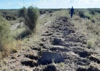 ROBARON 3600 METROS DE RIELES CERCA DE AGUARÁ