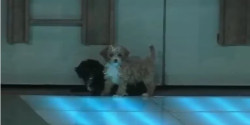 GH 2022: LA CASA LE DIO LA BIENVENIDA A DOS NUEVOS INTEGRANTES