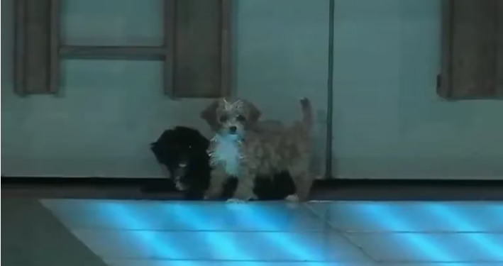 GH 2022: LA CASA LE DIO LA BIENVENIDA A DOS NUEVOS INTEGRANTES