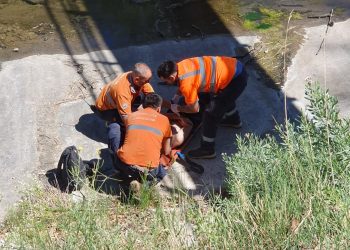 SE CAYÓ AL CANAL MALDONADO