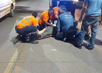 SE LE CRUZÓ UN PERRO Y TERMINÓ CHOCANDO