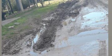 FERRERO: «DESDE LA DELEGACIÓN NOROESTE NO TENEMOS RESPUESTA DE NADA, HAN CORTADO TODO»