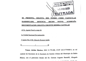 BARATELLI: «LO QUE QUEREMOS LOGRAR ES QUE UN JUEZ DETERMINE QUE NO PUEDE MANEJAR»