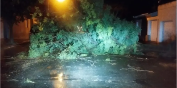 DEL VALLE: «HAY 13 FAMILIAS AFECTADAS POR EL TEMPORAL»