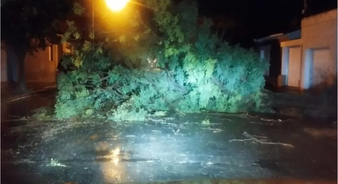 DEL VALLE: «HAY 13 FAMILIAS AFECTADAS POR EL TEMPORAL»