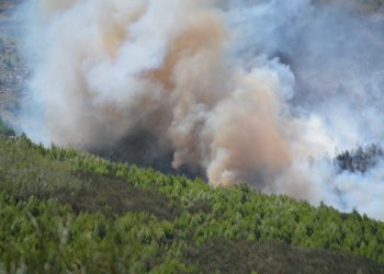 TRABAJAN PARA SOFOCAR EL FUEGO EN LAS SIERRAS