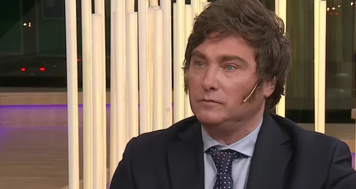 JAVIER MILEI HABLARÁ HOY CON JAIR BOLSONARO Y ADELANTÓ QUE PREPARARÁN UNA ESTRATEGIA CONJUNTA