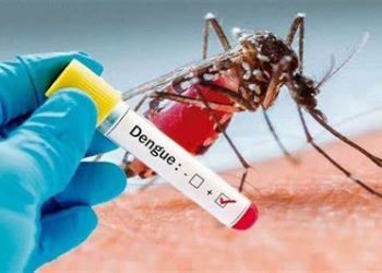 RECOMENDACIONES PARA EVITAR EL DENGUE