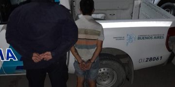 MORESINO: DETENIDOS POR ROBAR PLANTAS DE MARIHUANA