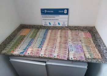 ATRAPARON A UN LADRÓN QUE QUEDÓ FILMADO