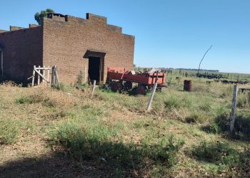 ACUSAN A 3 PERSONAS DE FAENAR VACAS Y ROBAR EN UN CAMPO