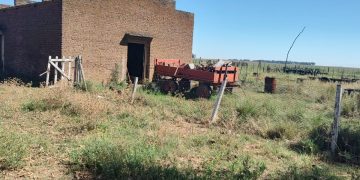 ACUSAN A 3 PERSONAS DE FAENAR VACAS Y ROBAR EN UN CAMPO