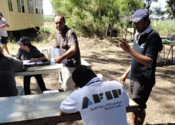 EL EMPLEO INDEPENDIENTE Y CON SUBSIDIO YA REPRESENTA MÁS DEL 20% DEL TOTAL REGISTRADO