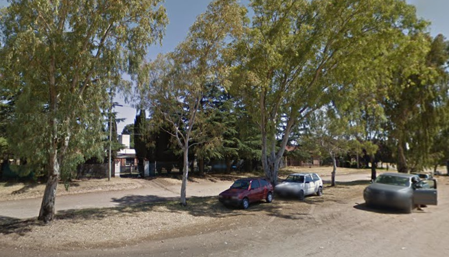 VECINOS DE 14 DE JULIO AL 3900 SE QUEJAN DE LA PODA DE EUCALIPTOS