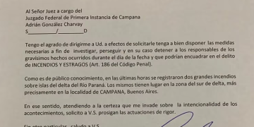 APAGÓN MASIVO: MASSA AFIRMÓ QUE LOS INCENDIOS FUERON INTENCIONALES Y LE PIDIÓ A LA JUSTICIA QUE INVESTIGUE LAS CAUSAS