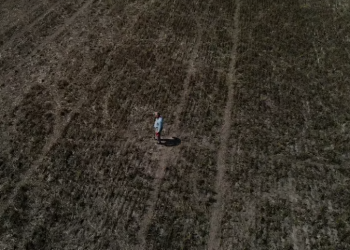 LOS PRINCIPALES PUNTOS DE LOS DECRETOS DE ENTRADA EN VIGENCIA DEL DÓLAR AGRO Y DE MEDIDAS DE ALIVIO FISCAL PARA EL CAMPO