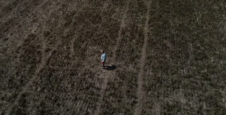 LOS PRINCIPALES PUNTOS DE LOS DECRETOS DE ENTRADA EN VIGENCIA DEL DÓLAR AGRO Y DE MEDIDAS DE ALIVIO FISCAL PARA EL CAMPO