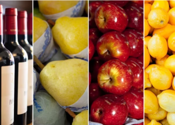 DÓLAR AGRO: EL GOBIERNO DEFINE LOS TÉRMINOS PARA QUE LAS ECONOMÍAS REGIONALES SE SUMEN A PRECIOS CUIDADOS