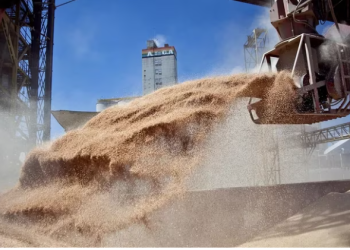 DÓLAR SOJA: LA SECRETARÍA DE AGRICULTURA PUBLICARÁ LA REGLAMENTACIÓN Y HOY SE PODRÍA EMPEZAR A OPERAR