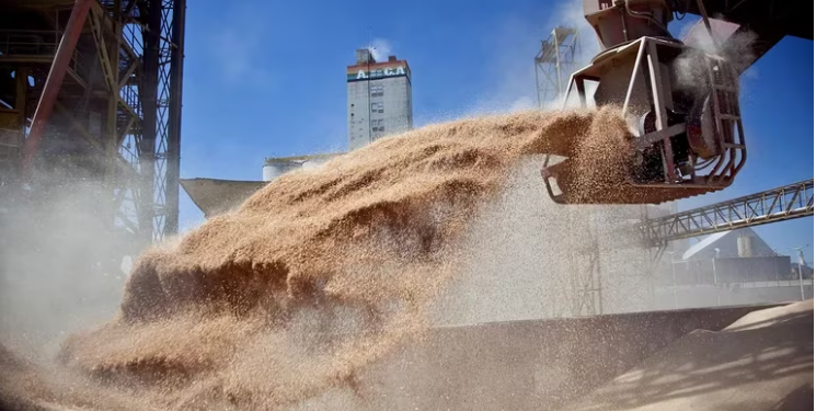 DÓLAR SOJA: LA SECRETARÍA DE AGRICULTURA PUBLICARÁ LA REGLAMENTACIÓN Y HOY SE PODRÍA EMPEZAR A OPERAR