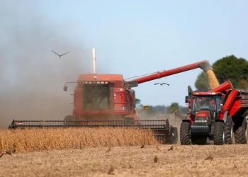 EL PRECIO INTERNACIONAL DE LA SOJA VOLVIÓ A CAER Y ES EL MÁS BAJO DESDE DICIEMBRE DE 2021